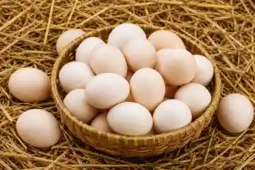 Eggs & More